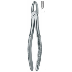 002-006-020 Extracting Forcep