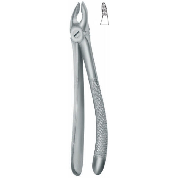 Dental extracting forceps