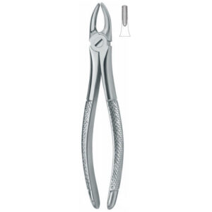 002-006-019 Extracting Forcep