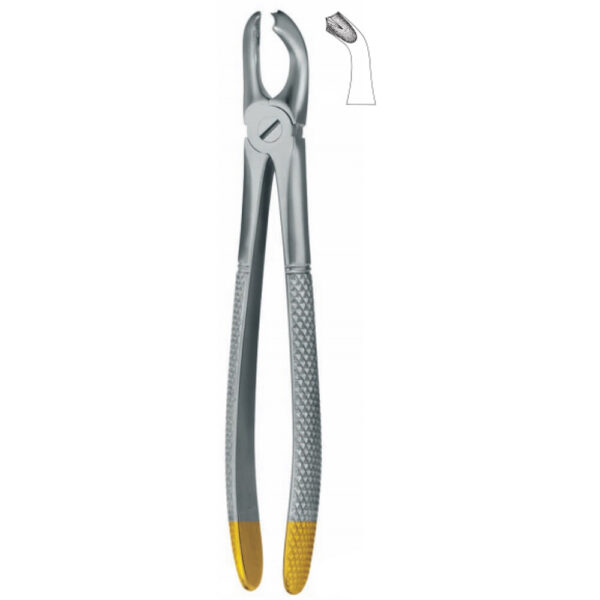 Dental extracting forceps