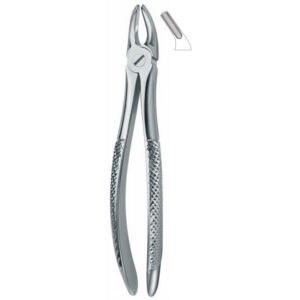 002-006-014 Extracting Forcep