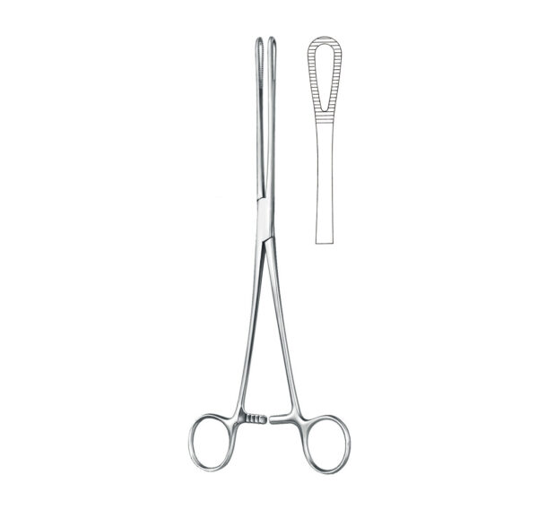 rampley sponge holding forceps