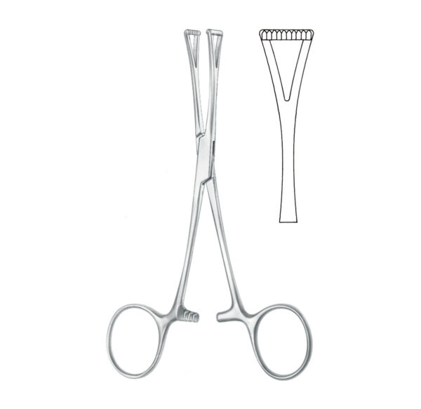 collin tongue forceps triangle shape