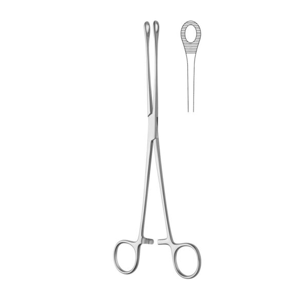 foerster sponge forceps