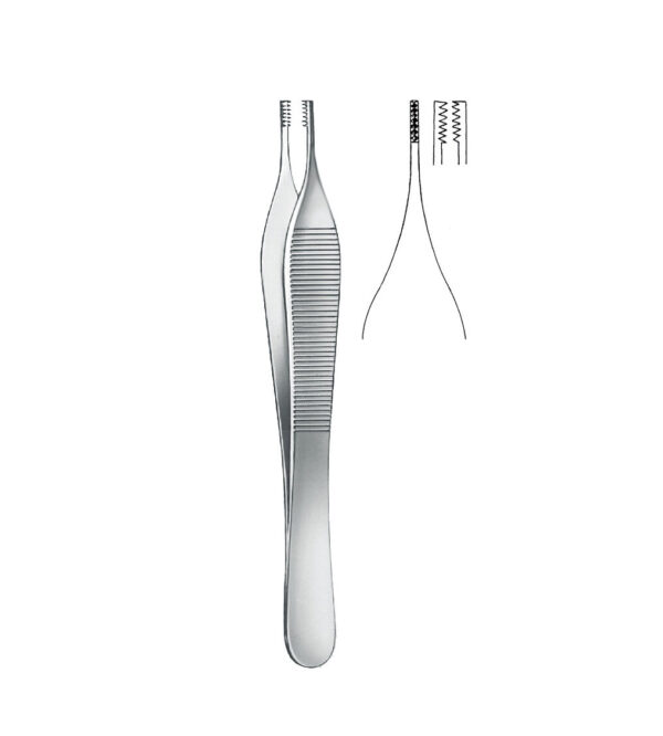 adson brown forceps teeth