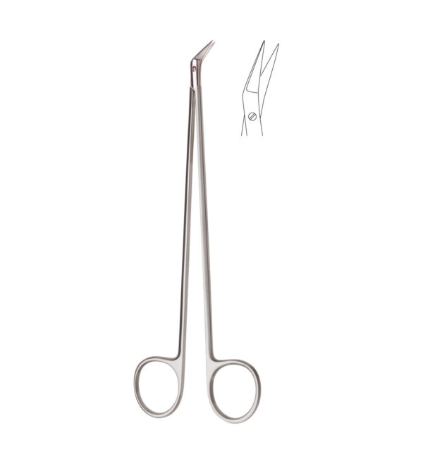 vascular scissor deithrich